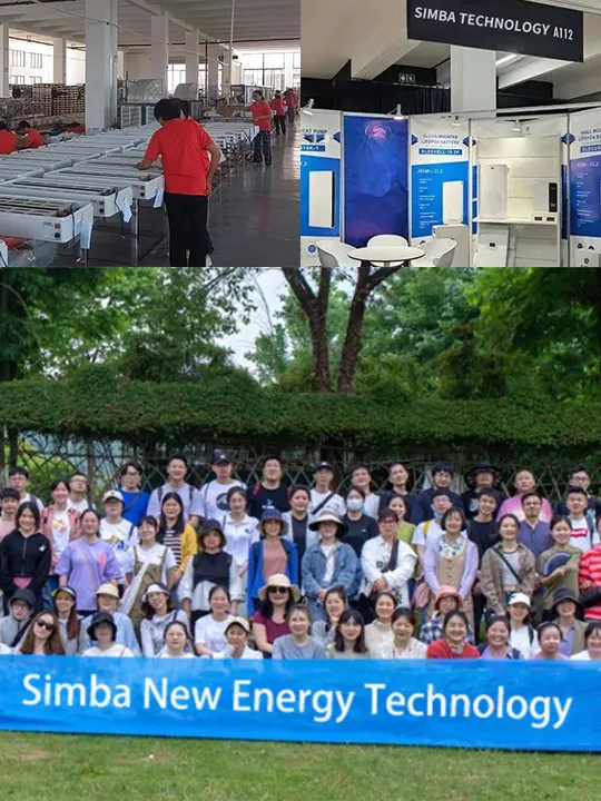 Simba Technology Company Introduction